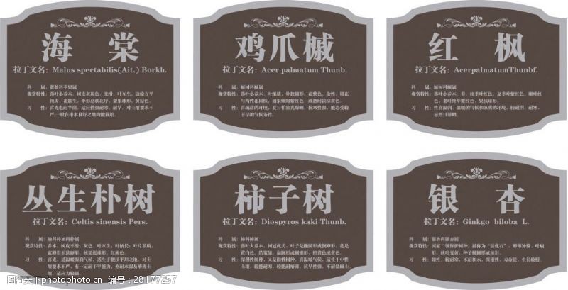 树铭牌 自然与信息的和谐使者